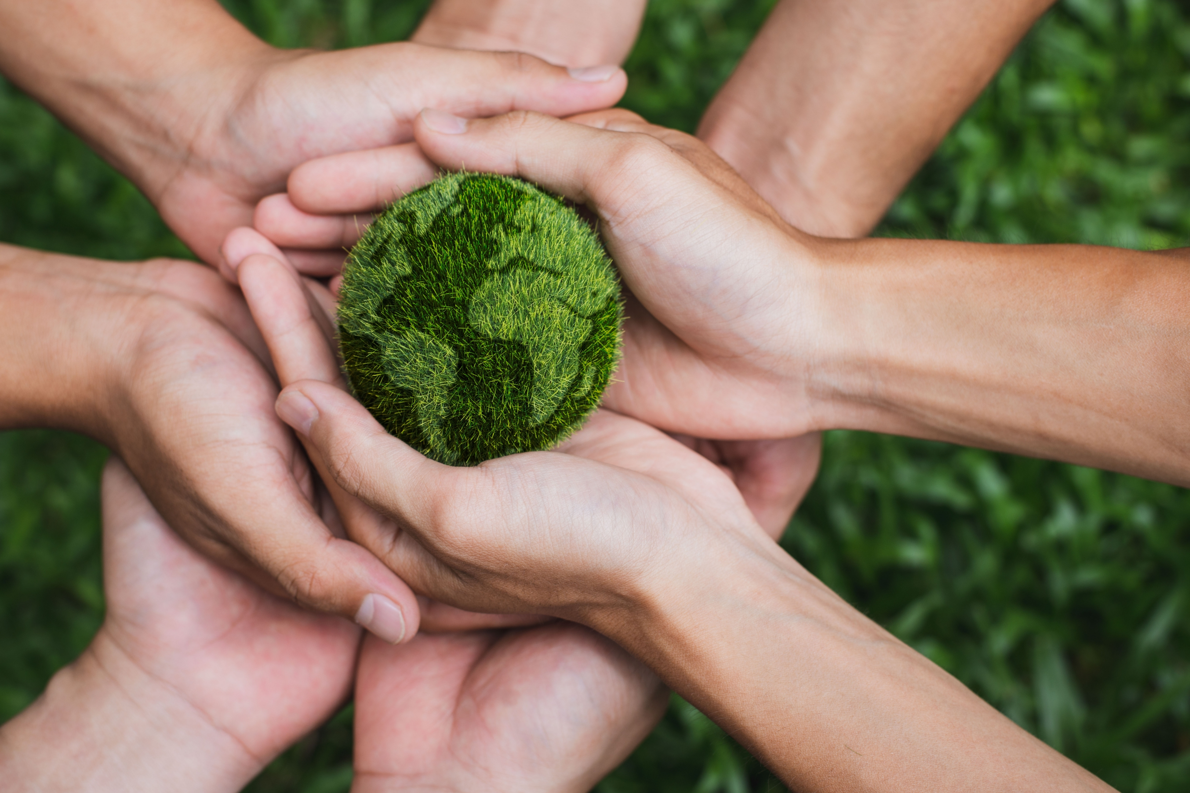 Direito Ambiental